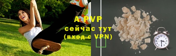 сатива Бронницы