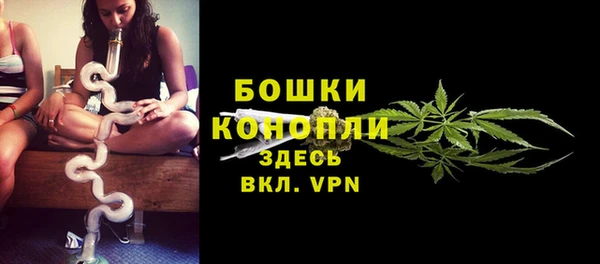 мдпв Богородск