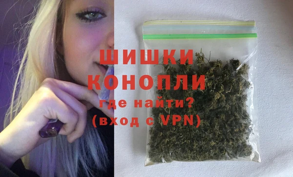 сатива Бронницы