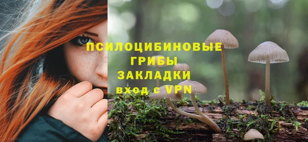 спиды Богородицк