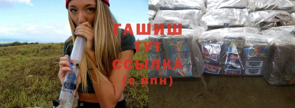 спиды Богородицк